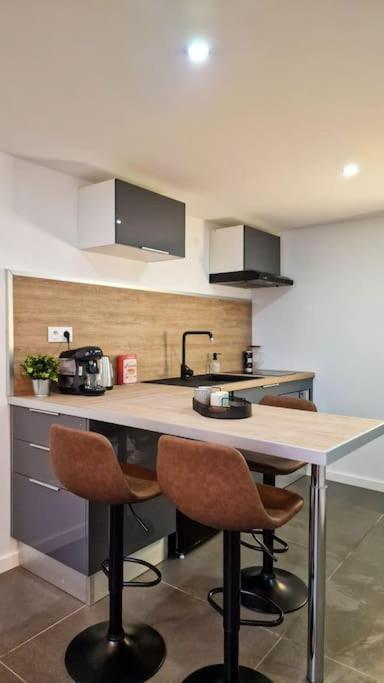 L'Atelier C Magnifique Loft Avec Terrasse Privee Daire Saint-Etienne  Dış mekan fotoğraf